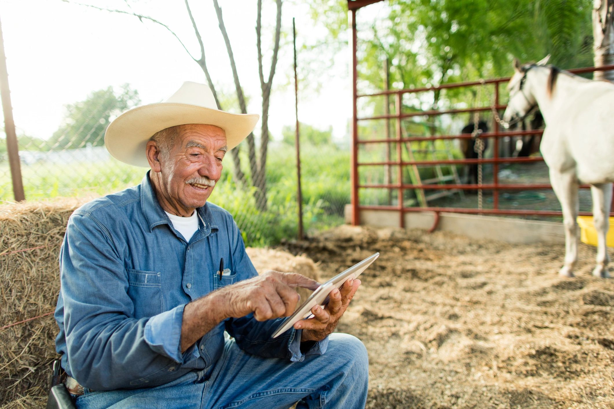 Agricultural professional using a digital tablet outdoors