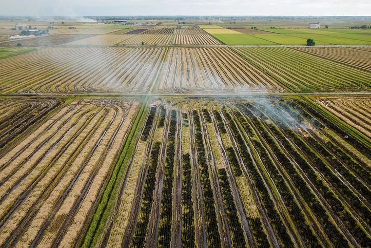 Agricultural field representing biomass conversion and biochar production