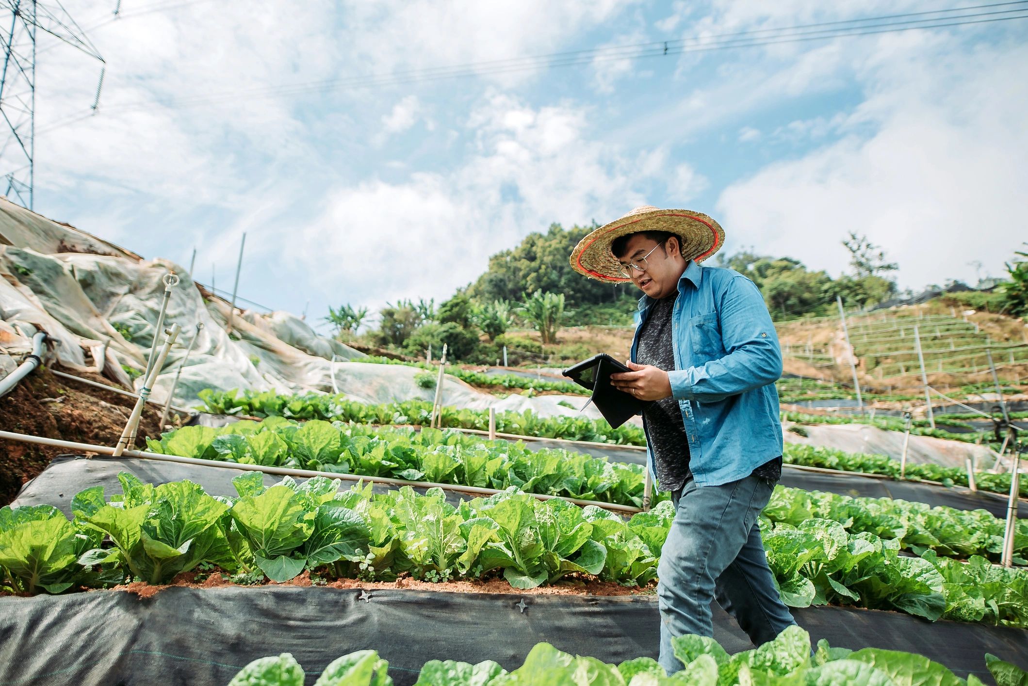 Farmer using a tablet in the field to review agricultural data