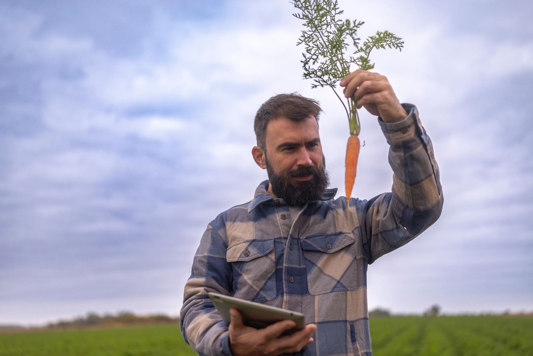 Farmer using a digital tablet in a green agricultural field